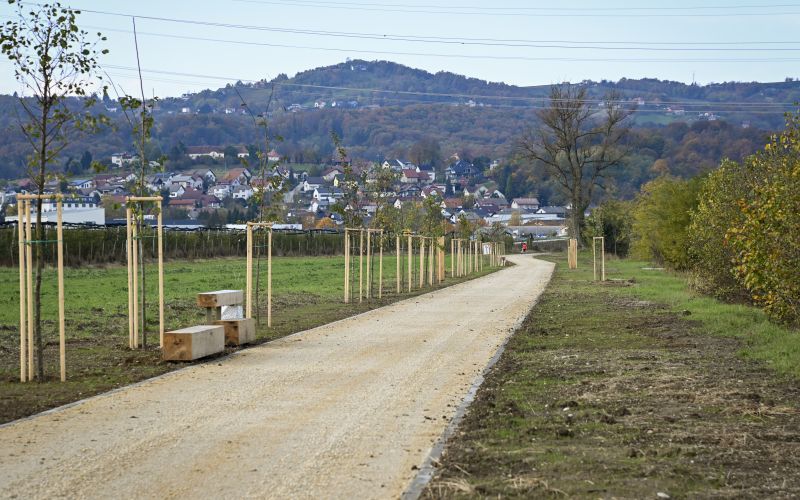 vecnamenska-pot-ob-savi