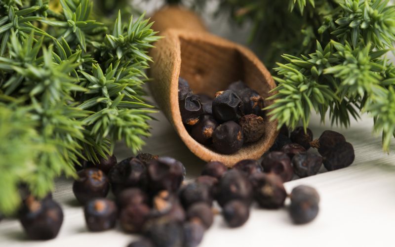 brin, brinove jagode