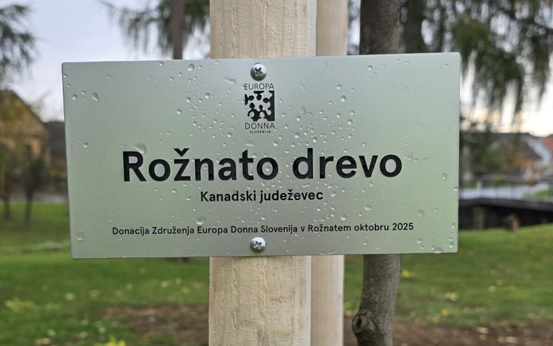 roznato-drevo, roznati-oktober, obcina-kobilje, obcina-tisina