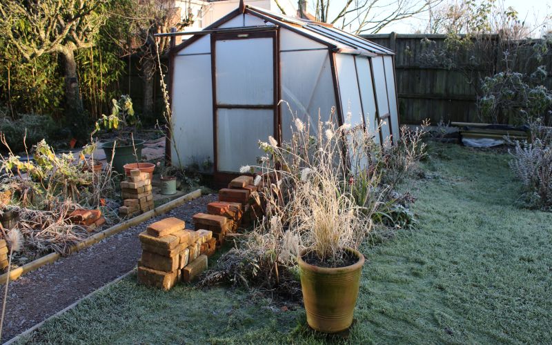 zelenjavni naslovna-nov24.jpg