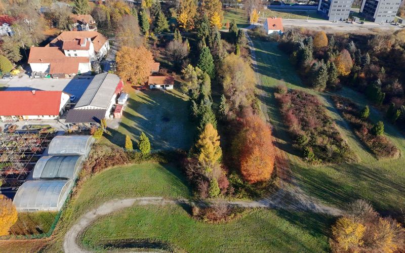 Zelena cona - Medlog