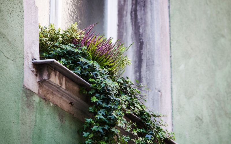 Nakit naslovna-nov25.jpg