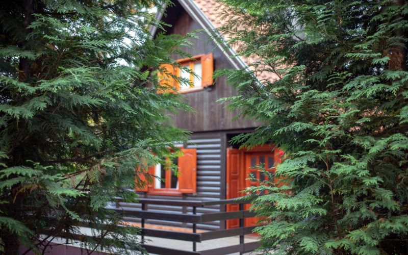 vikedn, nakup, nepremicine