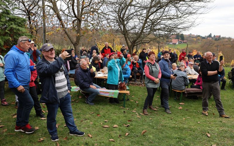 martinovanje, lendava