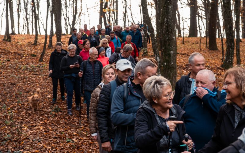 martinov-pohod, martinovanje, moravske-toplice, krnci