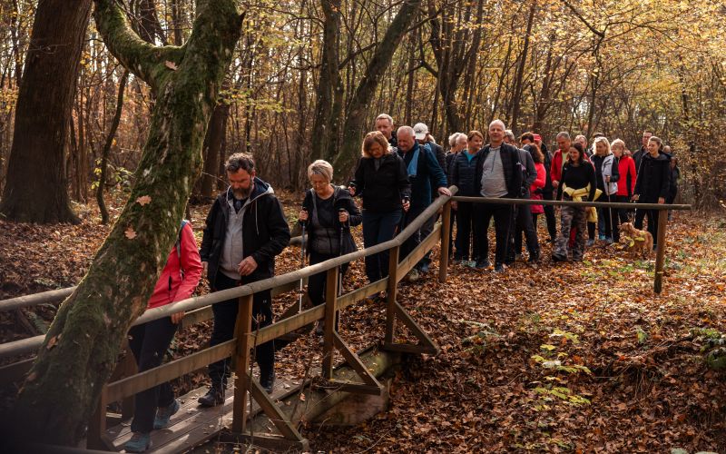 martinov-pohod, martinovanje, moravske-toplice, krnci