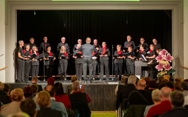 mepz-andrej-marosa, koncert, s-prijatelji-za-prijatelje