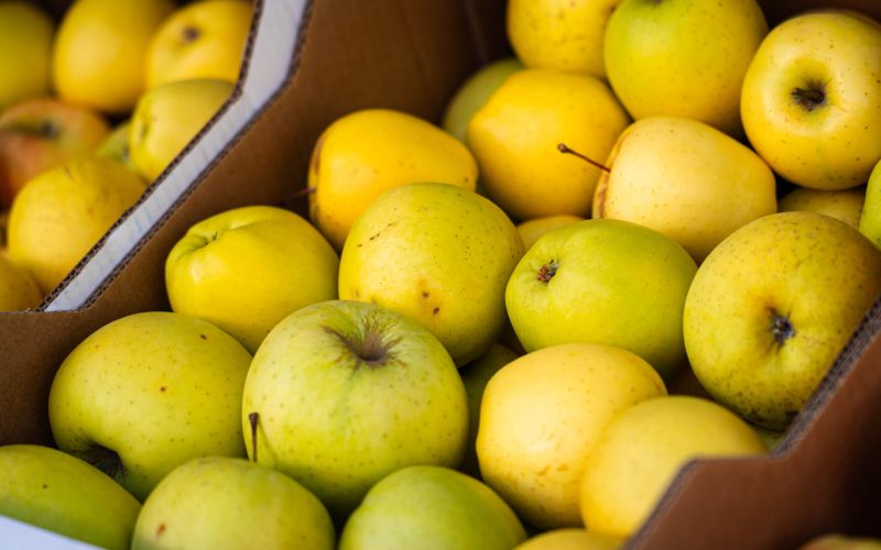 jabolka, tržnica-murska-sobota