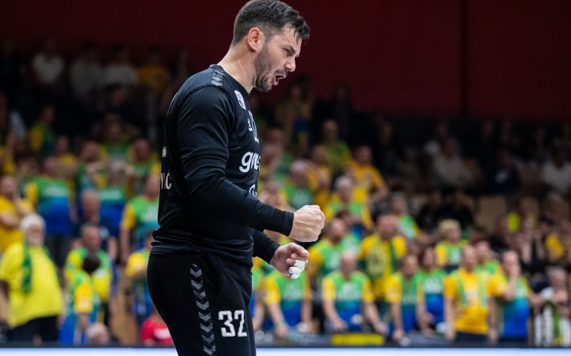 emir taletović.jpeg