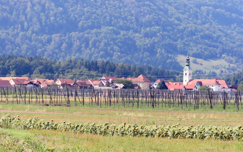 braslovce, letus, podgora, cesta