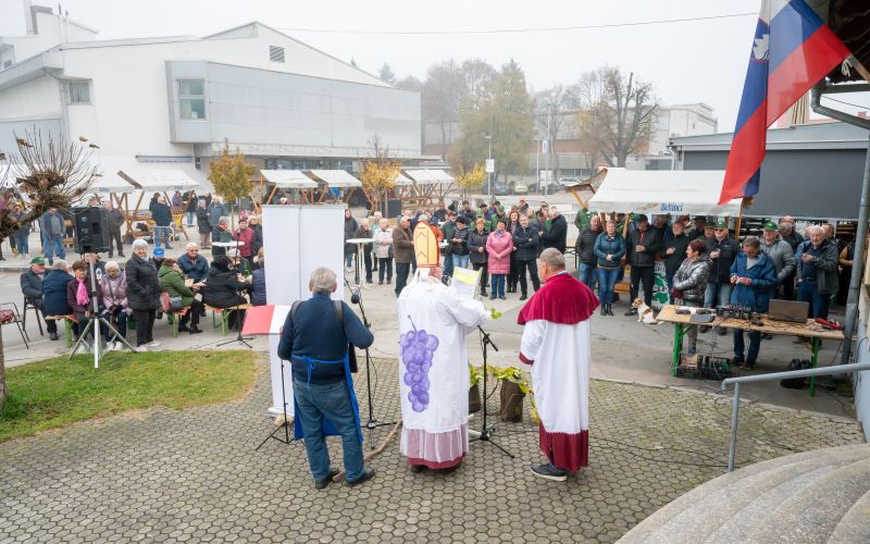 beltinci, vinogradnisko-drustvo-beltinci, martinovanje