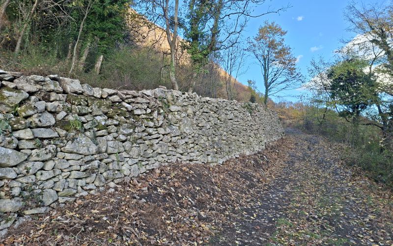 suhozid, donacka-gora, rogatec, zrsvn