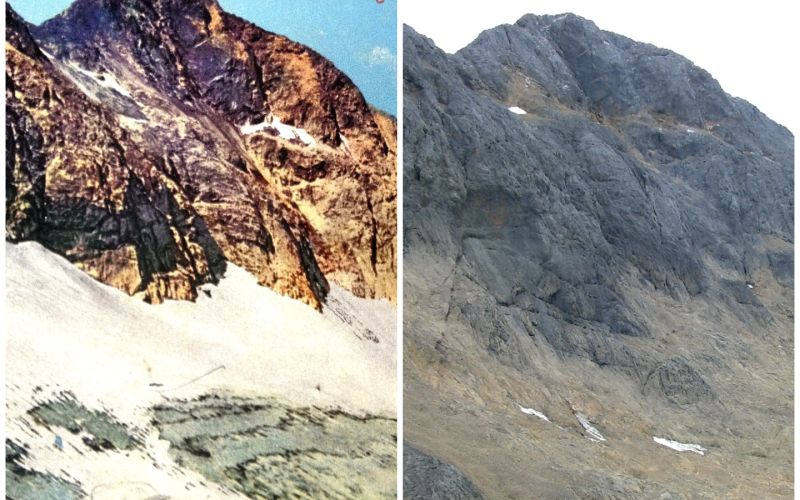 photo-collage.png (9).png