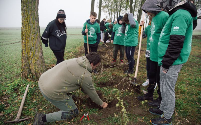 sajenje-mejic, gančani