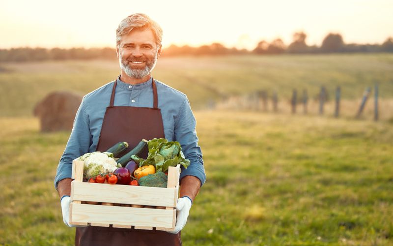 Kmetovalec, zelenjava