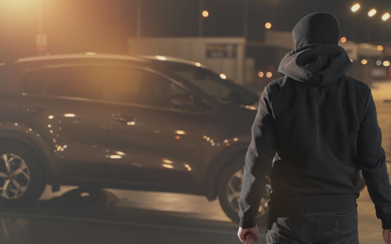 dz-kraja avtomobilov.jpg