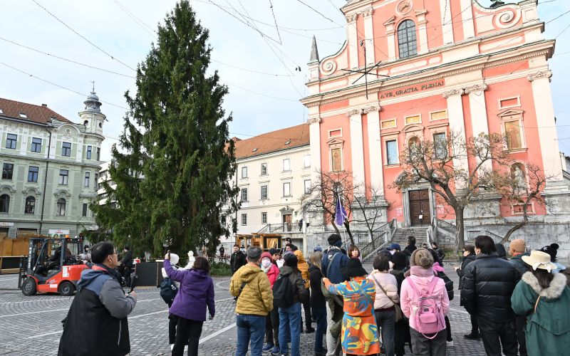 ljubljana-krasenje-stojnice-smreka