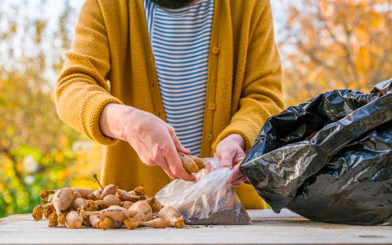 prezimovanje balkonske1