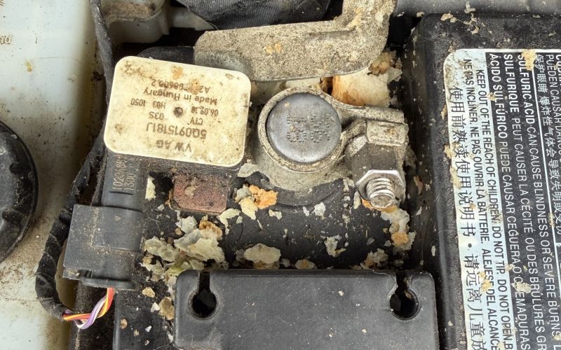 kuna, kune, avtomobil, škoda-na-avtomobilu