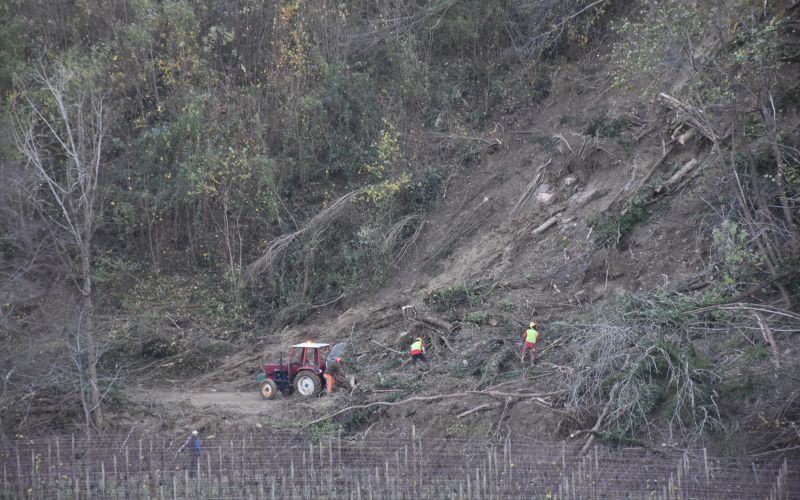plaz1 foto Igor Mušič.jpg