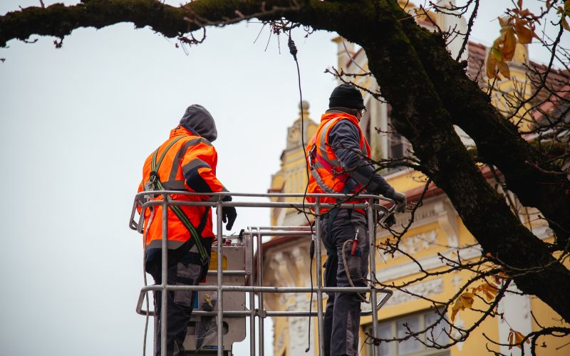praznične-lučke, božične, komunala-murska-sobota