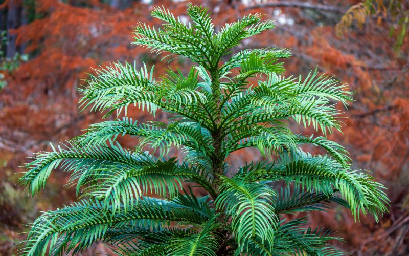 PP naslovna-dec21.jpg