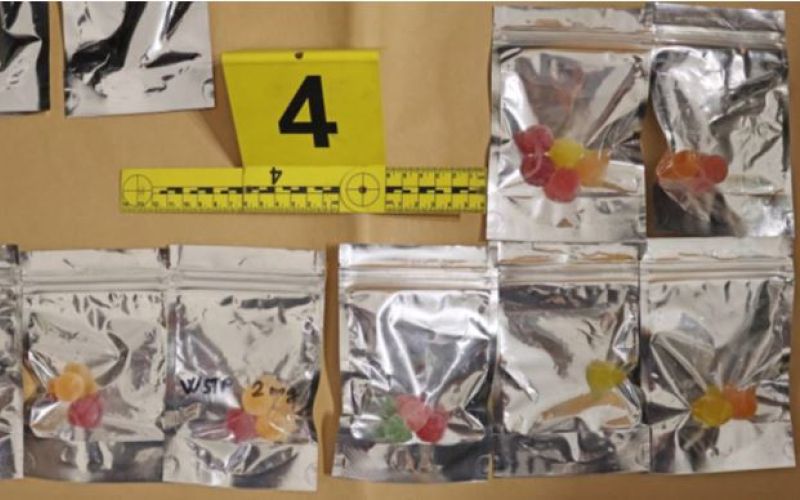 zaseg, ljubljana, droga