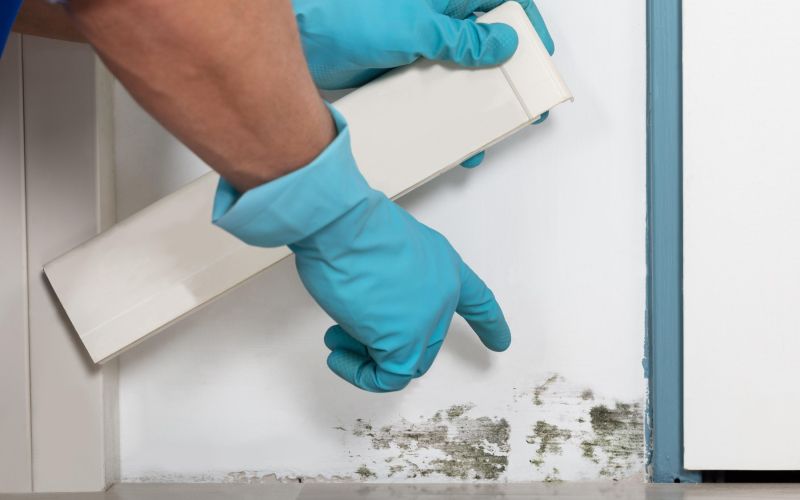 sanacija-zidov, vlaga-v-stanovanju