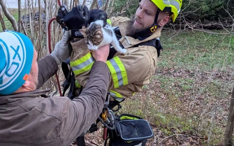 resevanje-macka, pge-krsko