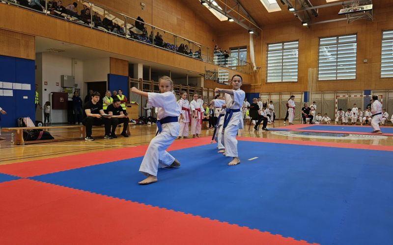 karate, turnir, franc-kotar, kbv-sevnica