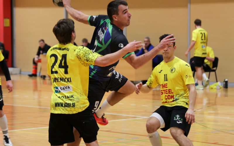 rokomenta-zveza-slovenije