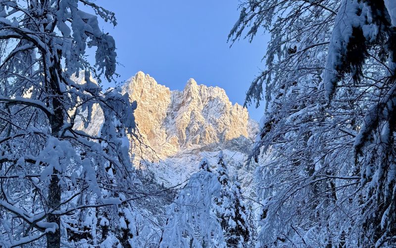 Kranjska Gora, Krnica (7).jpg