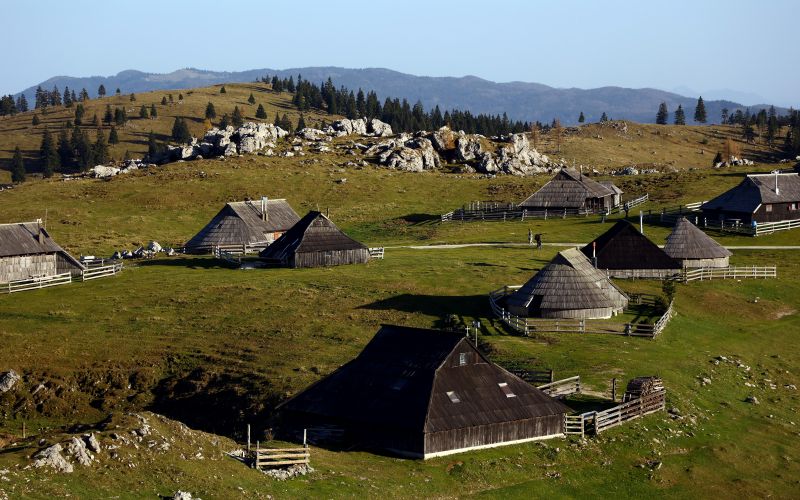 velika planina.JPG