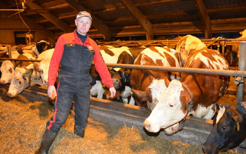 andrej-lenarcic, govedoreja