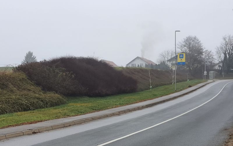 hb_dotrajana zasaditev.jpg