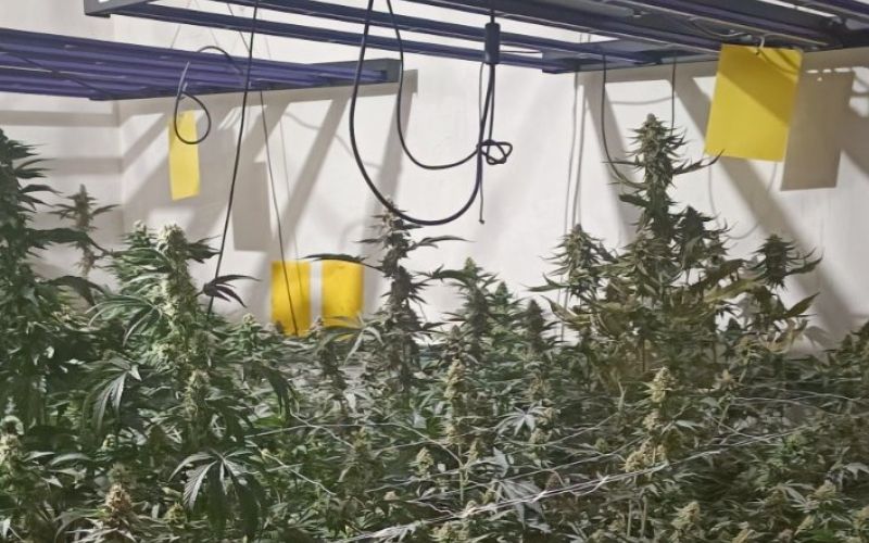 Laboratorij Ribnica.jpg