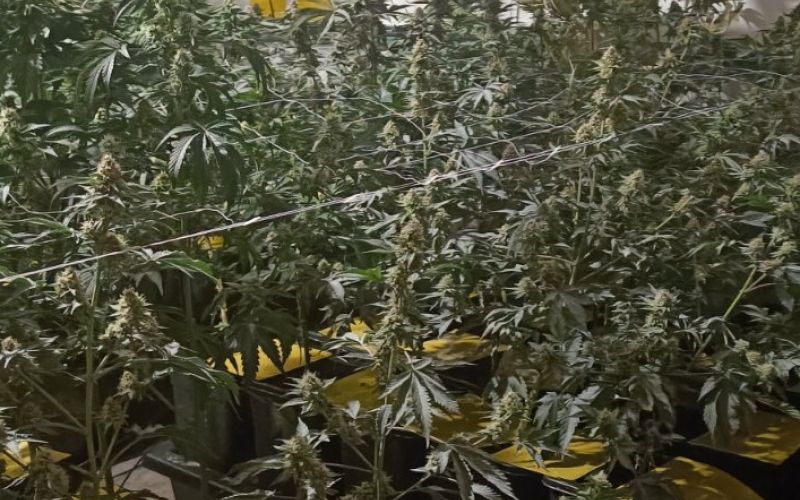 Laboratorij v Ribnici