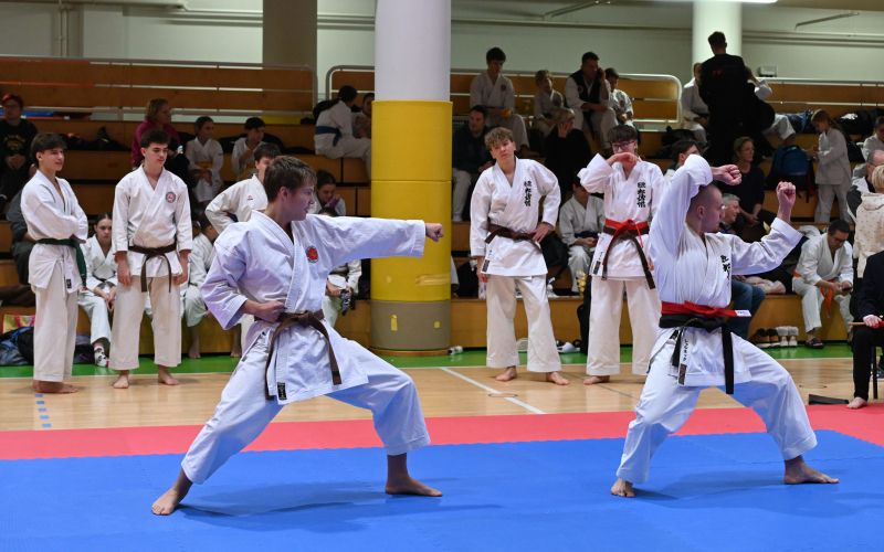 sveti-jurij, karate, 32.-mednarodni-odprti-karate-turnir-za-pokal-tromejnika, -4.-pokalni-turnir-s.k