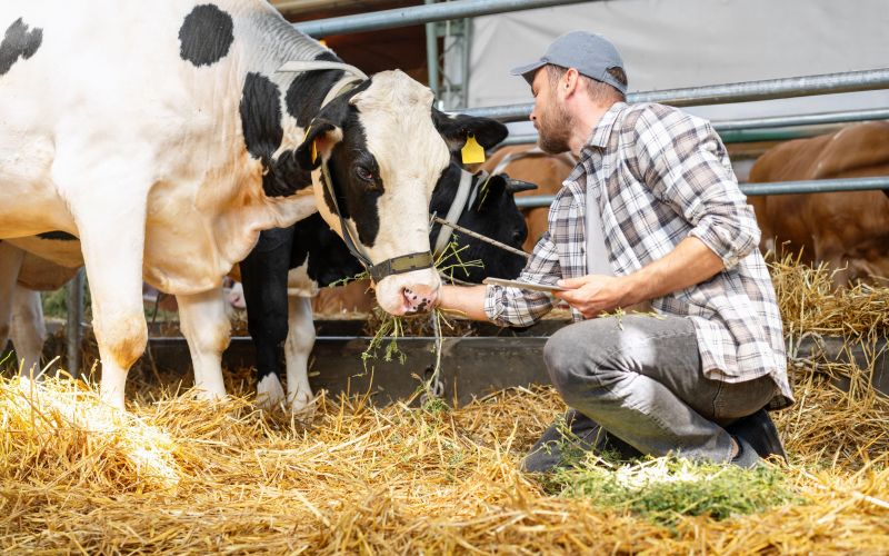 kmetijstvo, razpis, razpis-agro, agro-zemljisca-in-kmetije