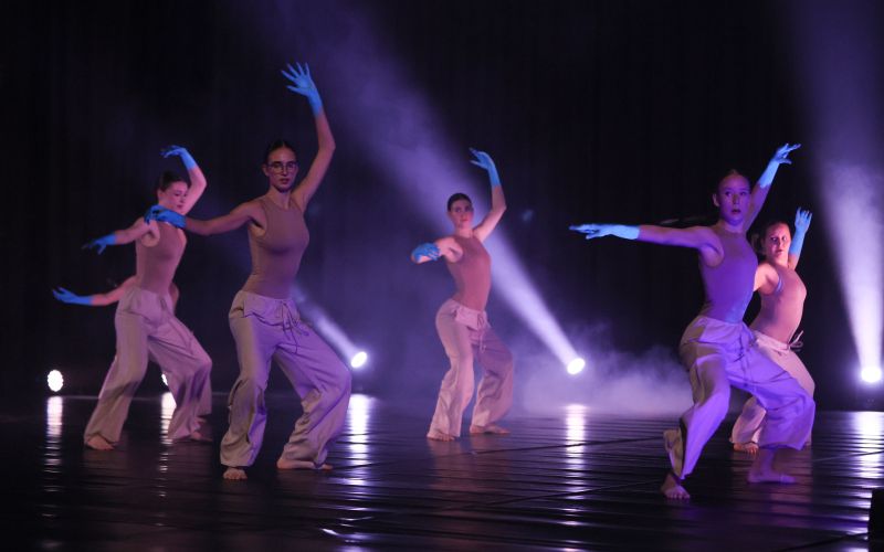 drustvo-harlekin, ana-vovk-pezdir, ples