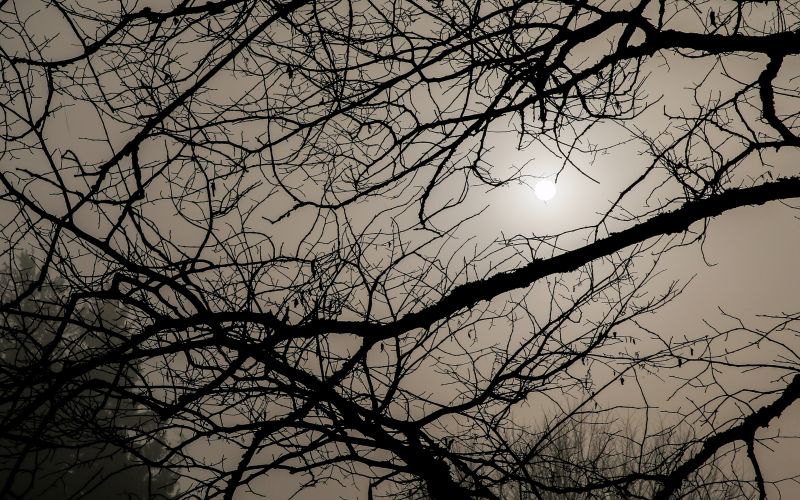 megla, sonce, sivina.JPG