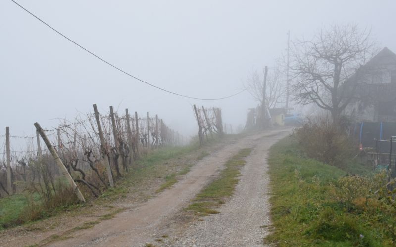 mv-videm cesta 2.JPG