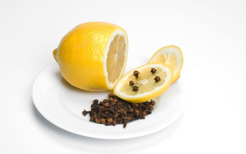 molji, osvezitev-prostora