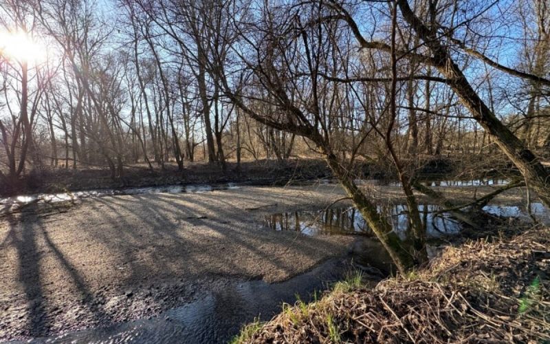 recni-rokav, benica, obnova