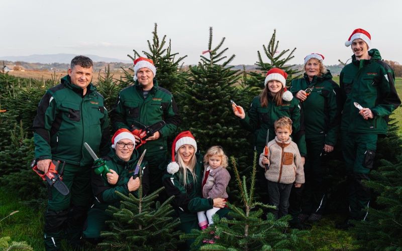 kavkaske-jelke, grmsek-radanovic