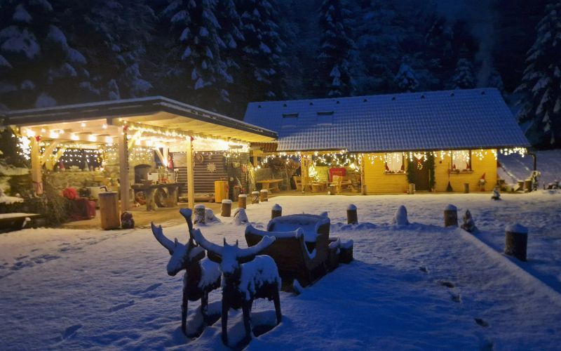 BOŽIČKOVA DEŽELA V GRADENCU 4