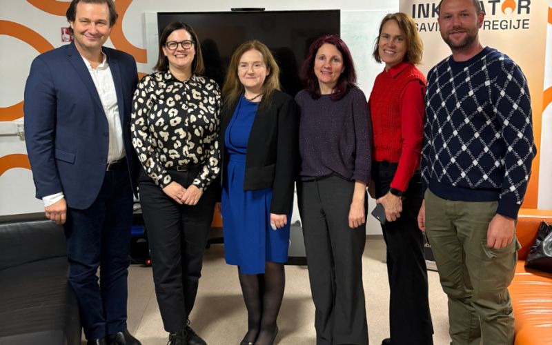 veleposlanica inkubator (2).png