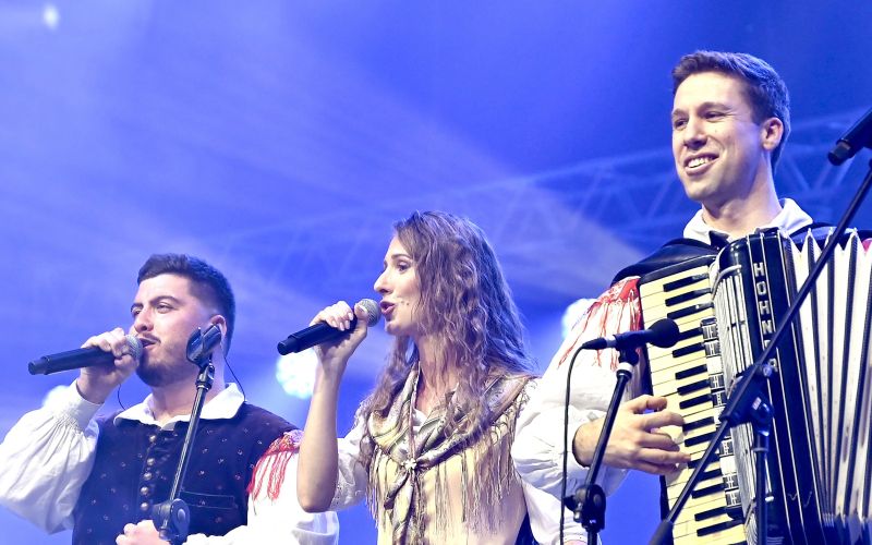 Ansambel Saša Avsenika, Stožice