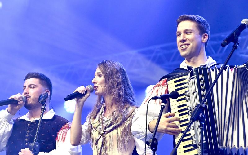 Ansambel Saša Avsenika, Stožice