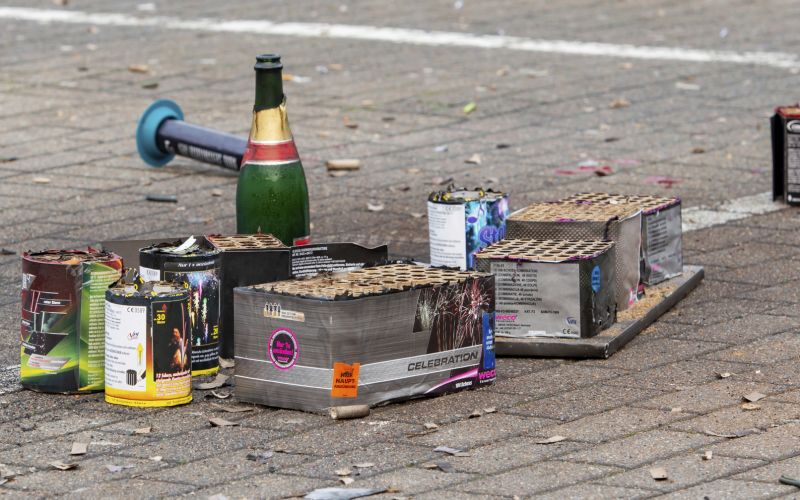 pirotehnika-in-zivali, pirotehnika